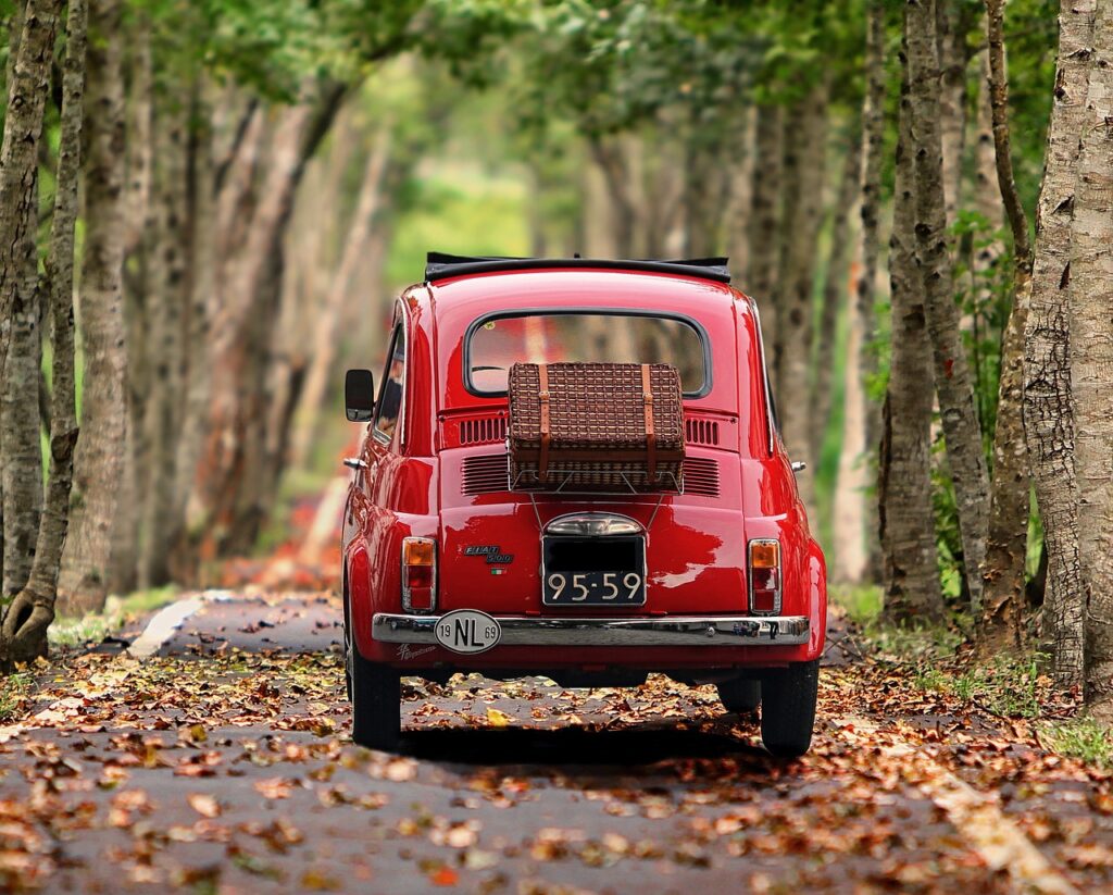fiat 500, automobile, trees-4322521.jpg