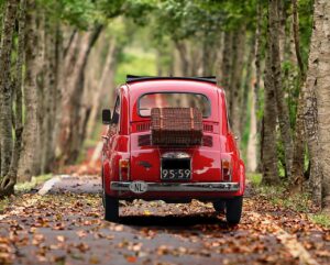 fiat 500, automobile, trees-4322521.jpg